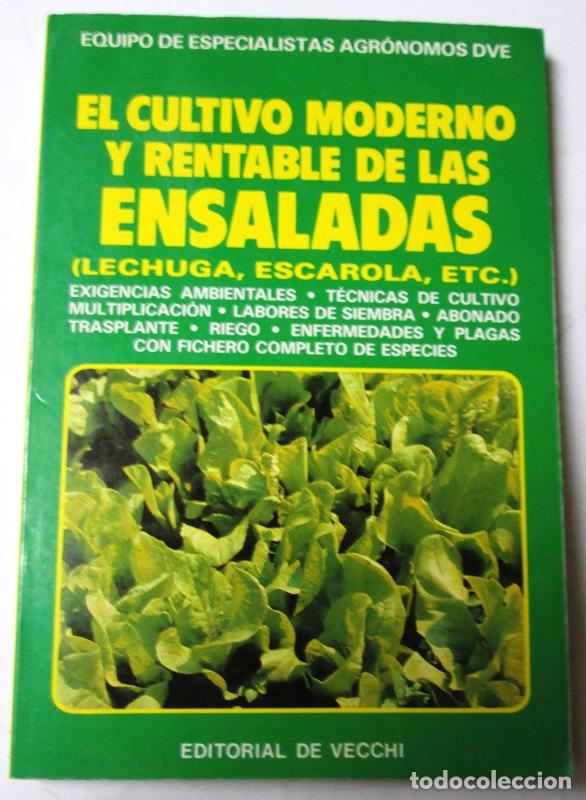 Libri di seconda mano: EQUIPO DE ESPECIALISTAS AGRONOMOS DVE - EL CULTIVO MODERNO Y RENTABLE DE LAS ENSALADAS (Lechuga, esc