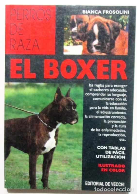 Libros: FROSOLINI, Bianca - EL BOXER - Foto 1