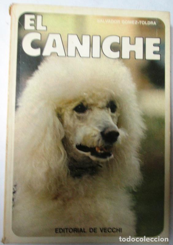 Libros: GOMEZ-TOLDRA, Salvador - EL CANICHE - Foto 1