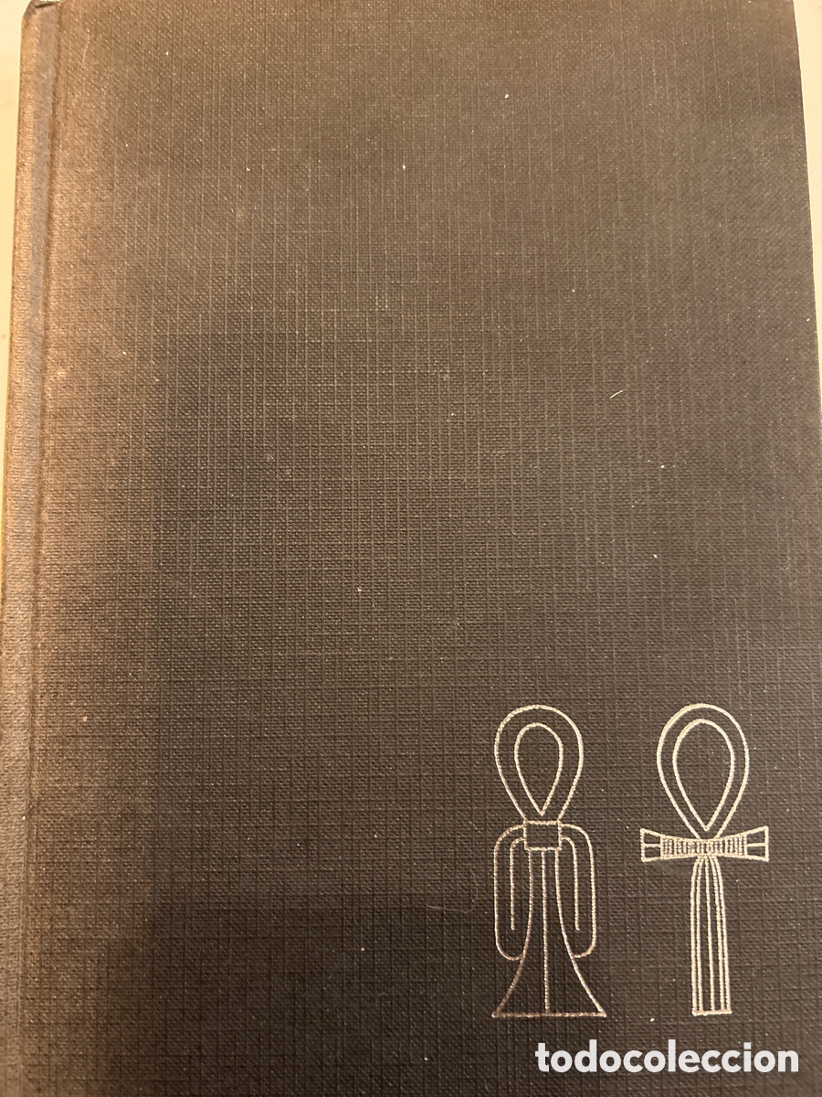 Libros: Baumann. Puerta de los leones y laberinto. C5 - Foto 1