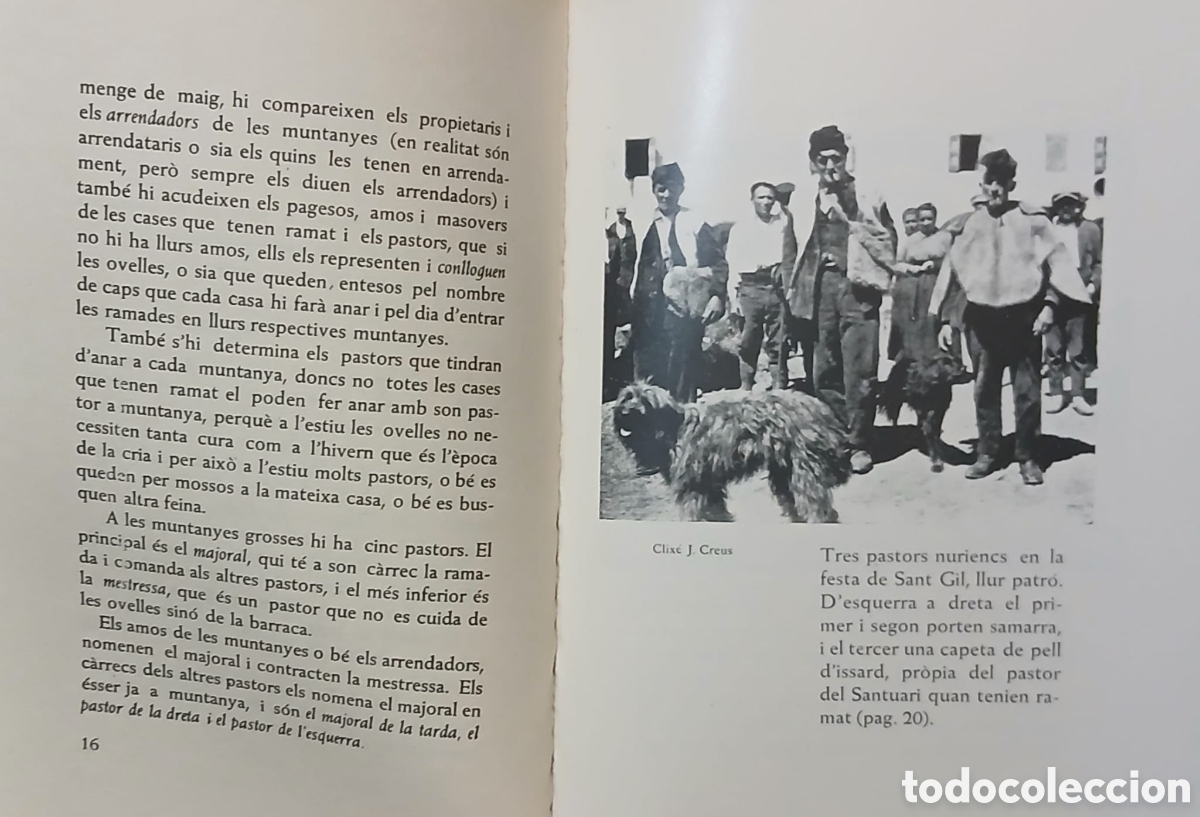 Libros: La vida dels pastors - Foto 4