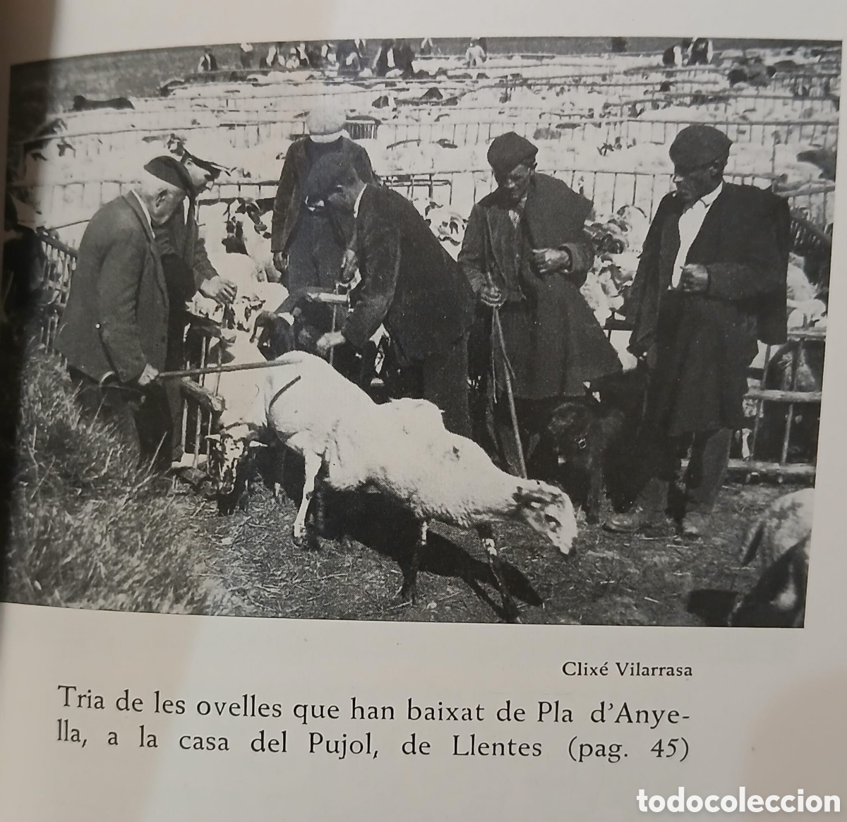 Libros: La vida dels pastors - Foto 5