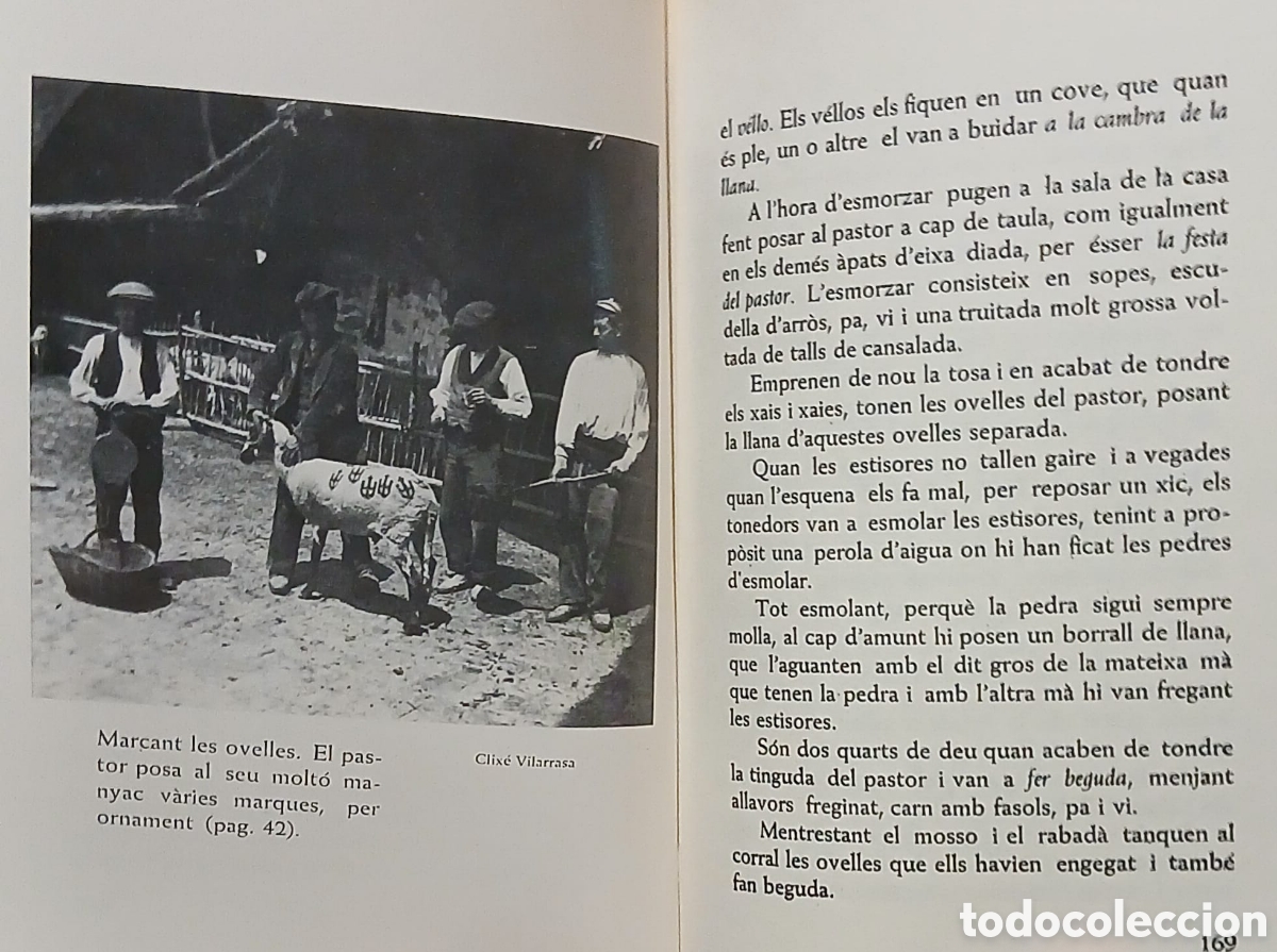 Libros: La vida dels pastors - Foto 8