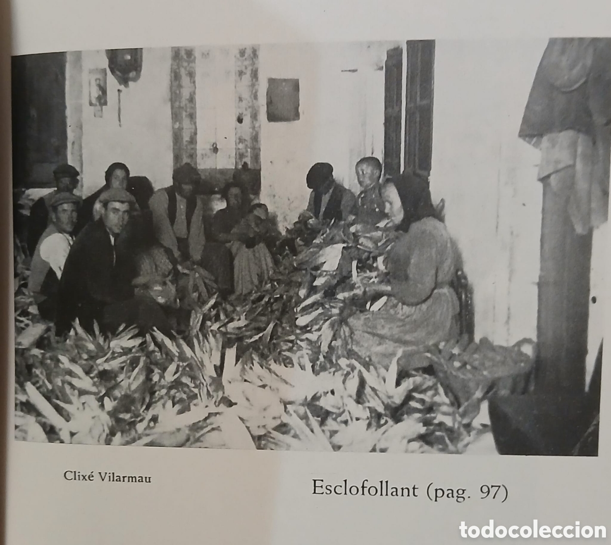 Libros: La vida dels pastors - Foto 9