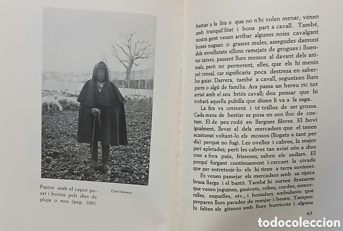 Libros: La vida dels pastors - Foto 10