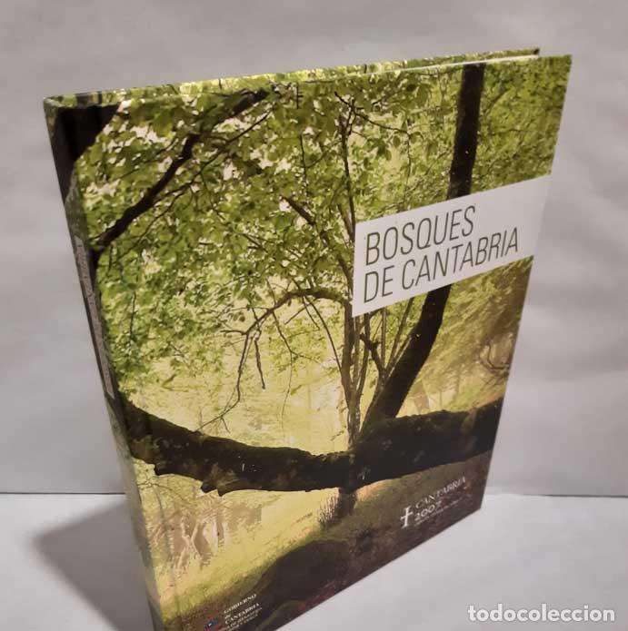 Libros: BOSQUES DE CANTABRIA - G&Oacute;MEZ DEL &Aacute;LAMO, RAFAEL - Foto 1