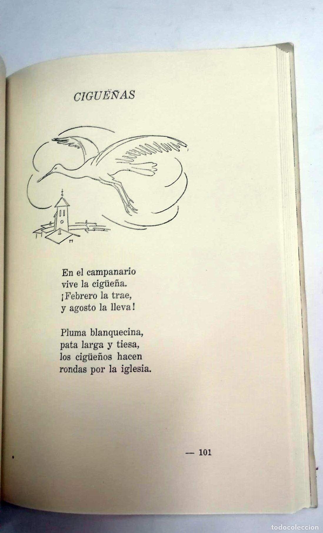 Libros: Pura V&aacute;zquez - COLUMPIO DE LUNA A SOL - Foto 2