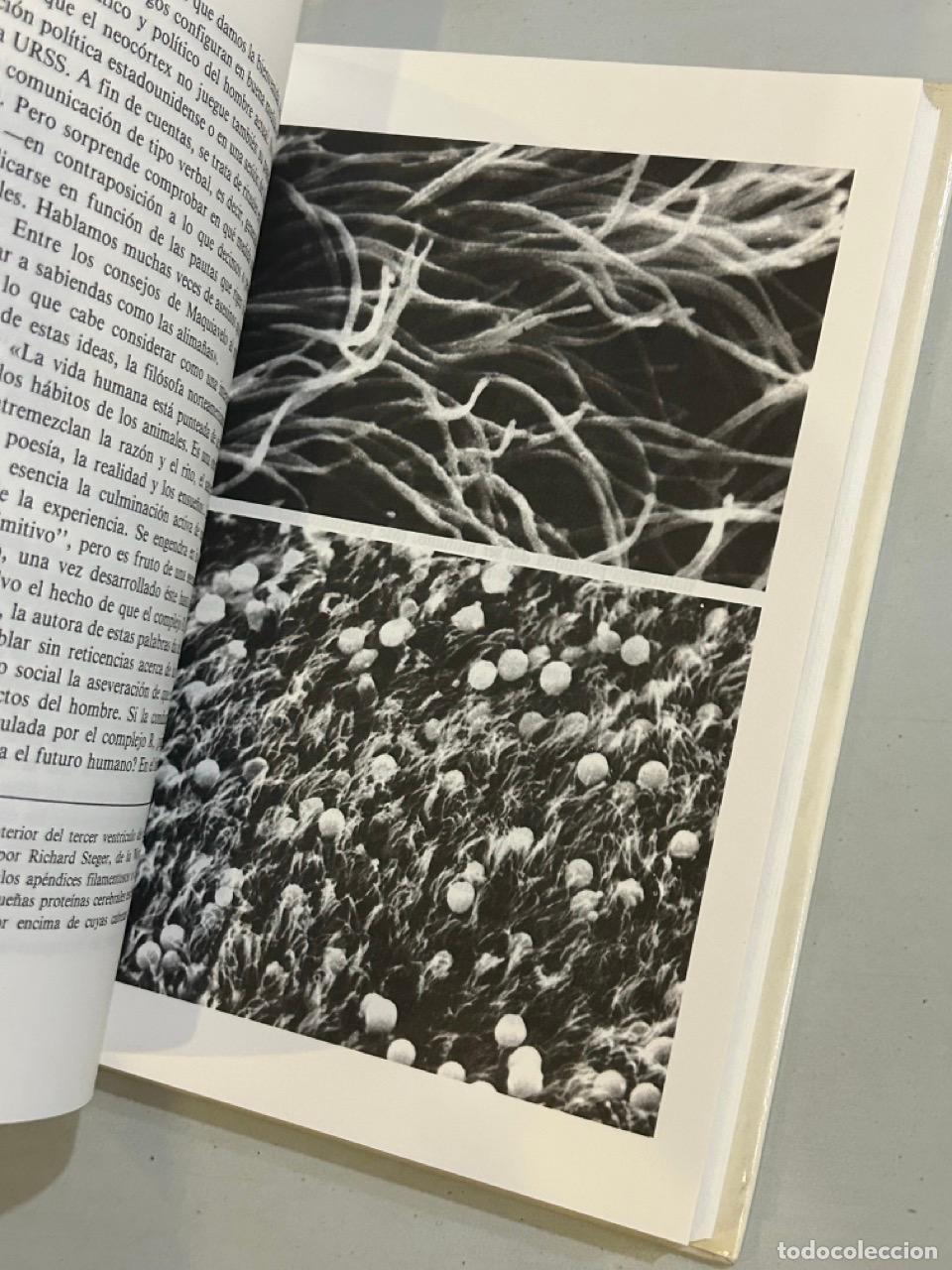 Libros: Carl Sagan - Los dragones del Ed&eacute;n - Foto 2