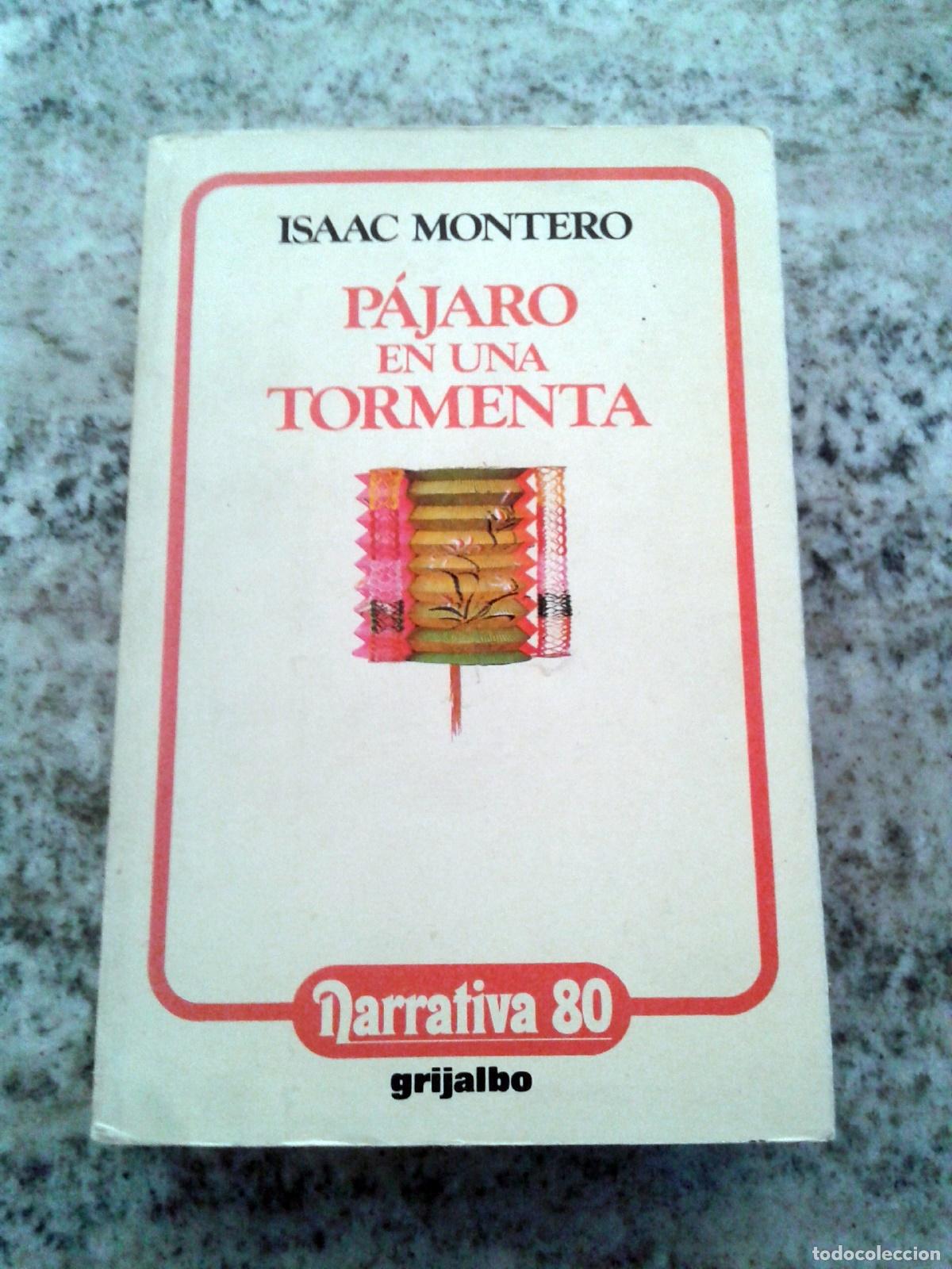 Libros: Montero, Isaac - PAJARO EN UNA TORMENTA - Foto 1