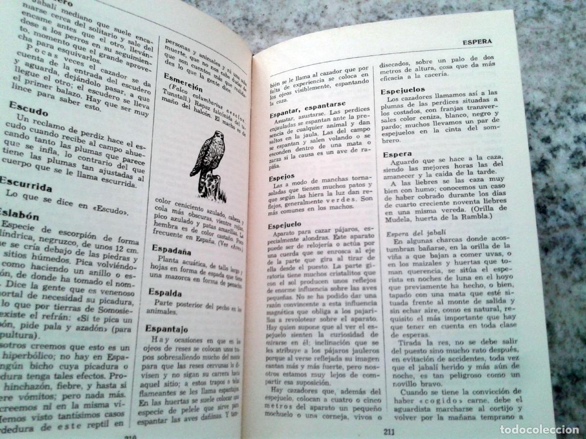 Libros: Jos&eacute; Mar&iacute;a Rodero - DICCIONARIO DE CAZA - Foto 3