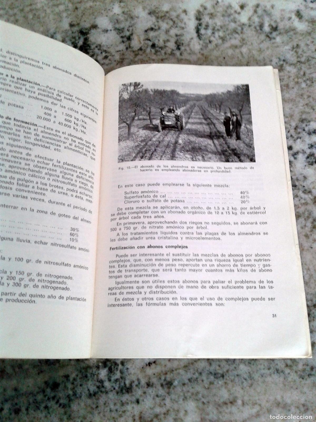 Libros: CULTIVO DEL ALMENDRO - Foto 2