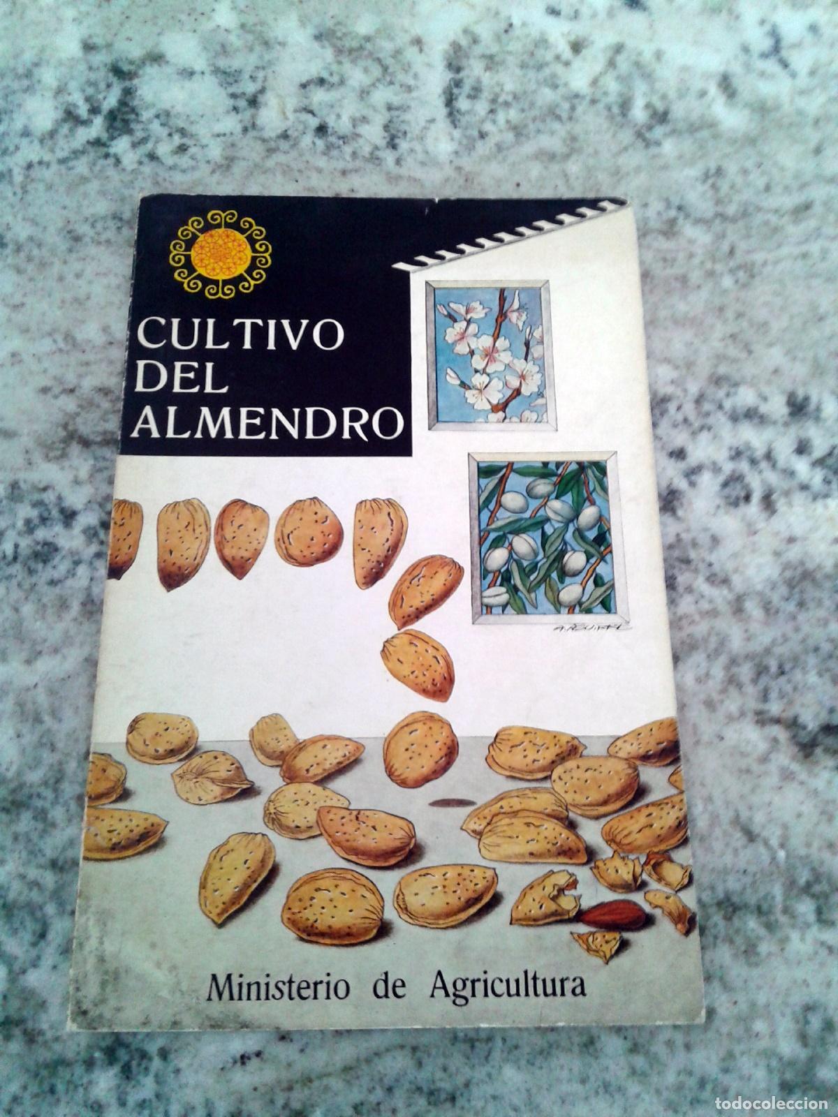 Libros: CULTIVO DEL ALMENDRO - Foto 1