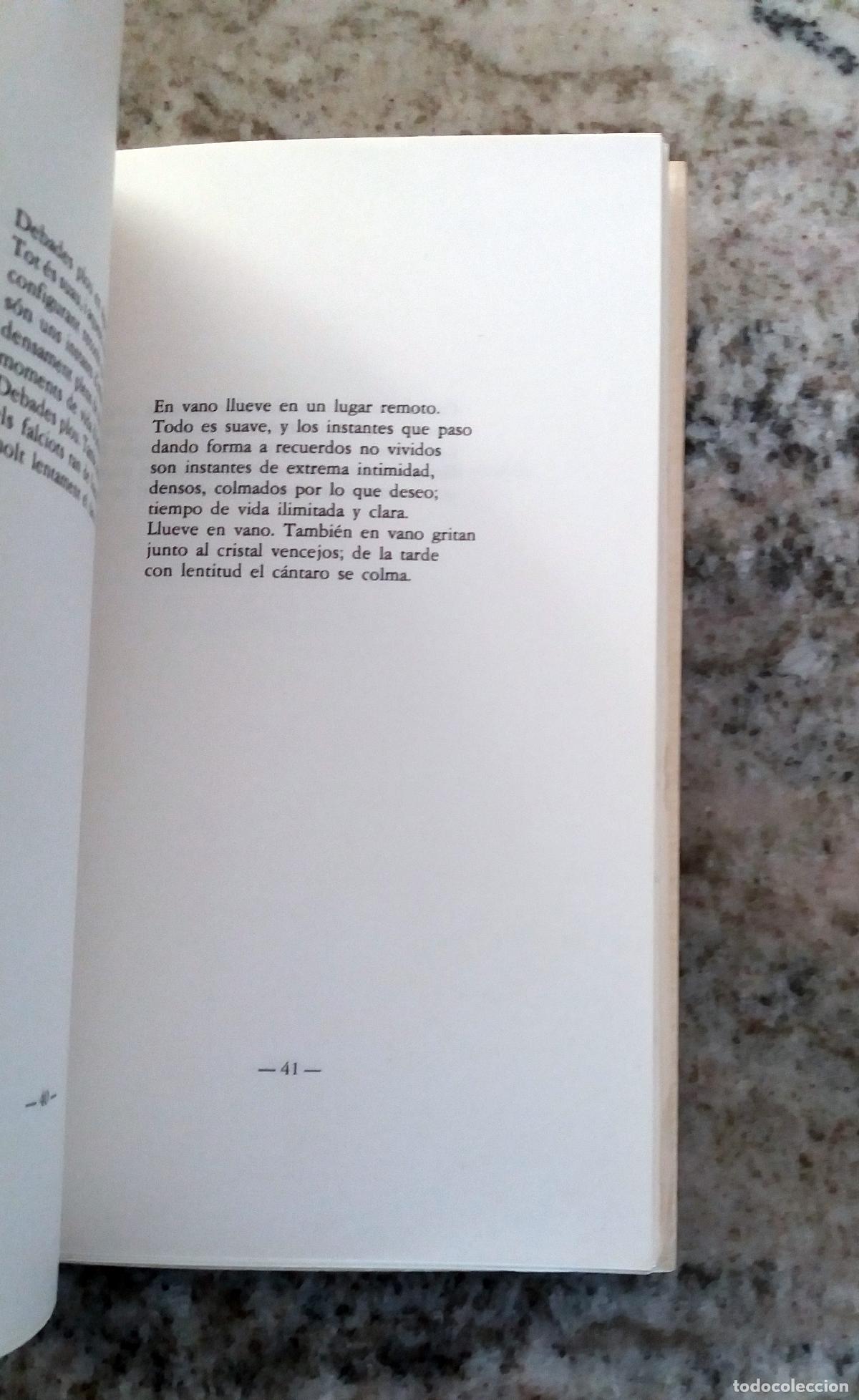 Libros: Marti I Pol, Miquel - AMADA MARTA - Foto 3