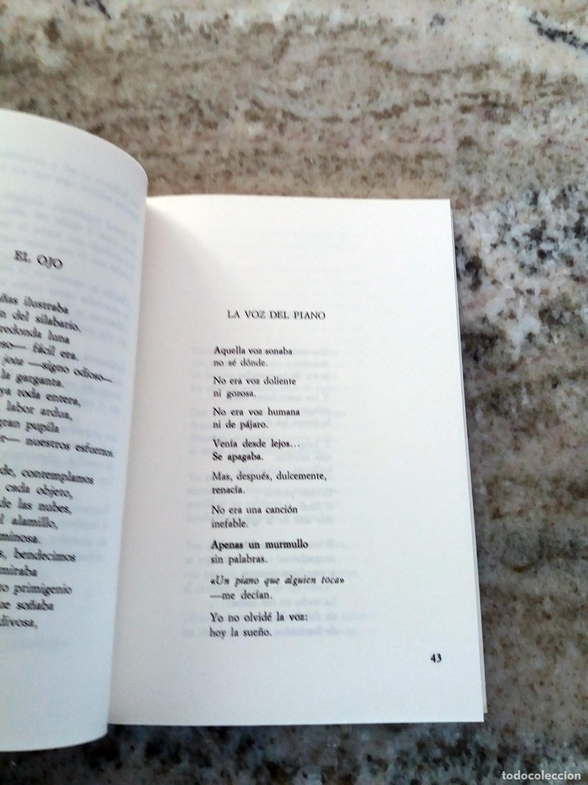 Libros: Zardoya, Concha - DIOTIMA - Foto 2