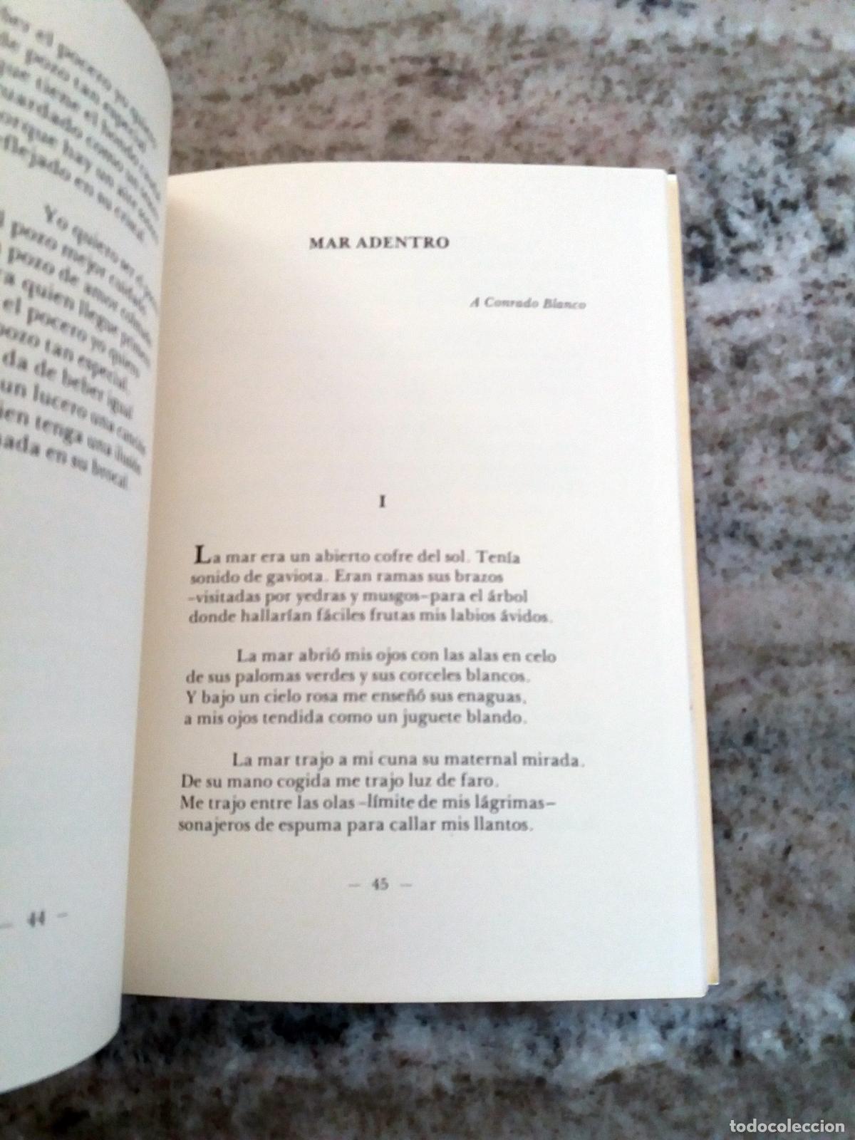 Libros: Jos&eacute; Javier Aleixandre - TIEMPO DE BUSQUEDA - Foto 2