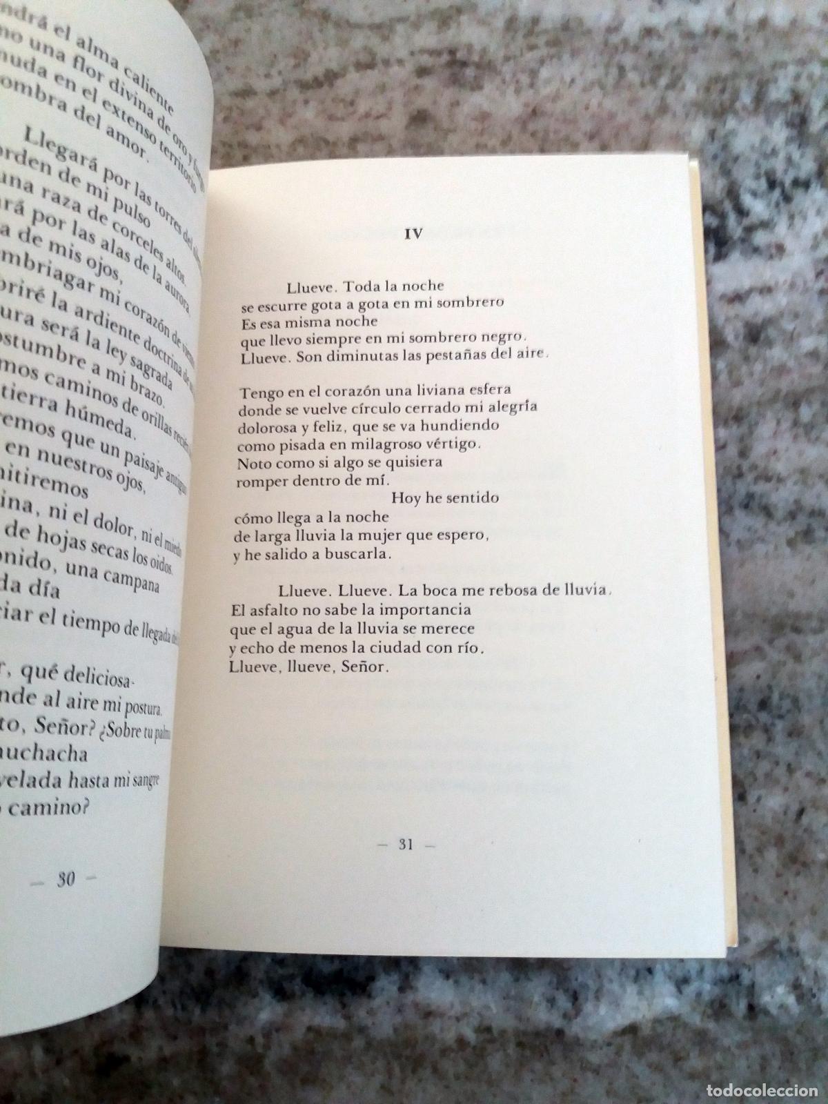 Libros: Jos&eacute; Javier Aleixandre - TIEMPO DE BUSQUEDA - Foto 3