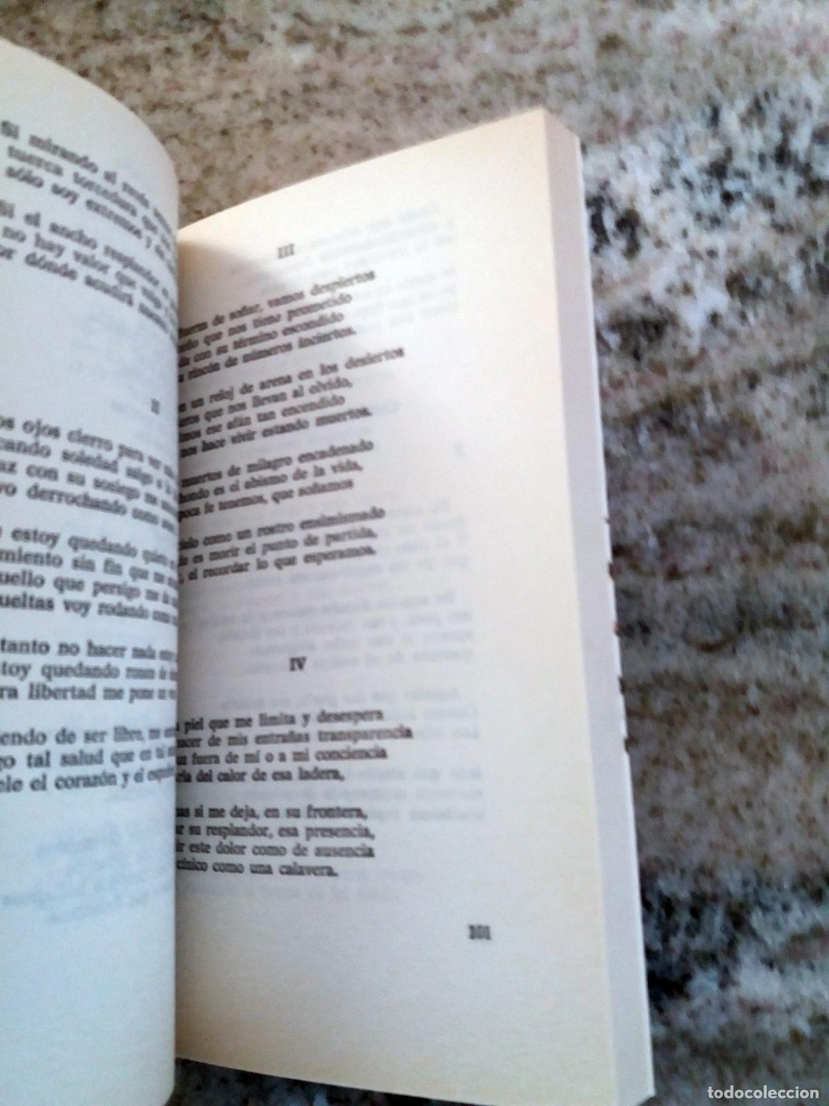 Libros: Arturo Serrano-Plaja - LOS ALAMOS OSCUROS - Foto 2