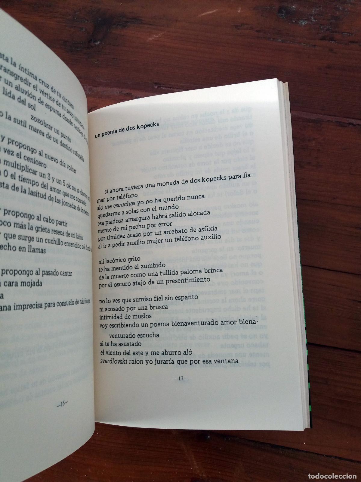 Libros: Ram&oacute;n Pedr&oacute;s - LOS POEMAS DE TAMARA - Foto 2