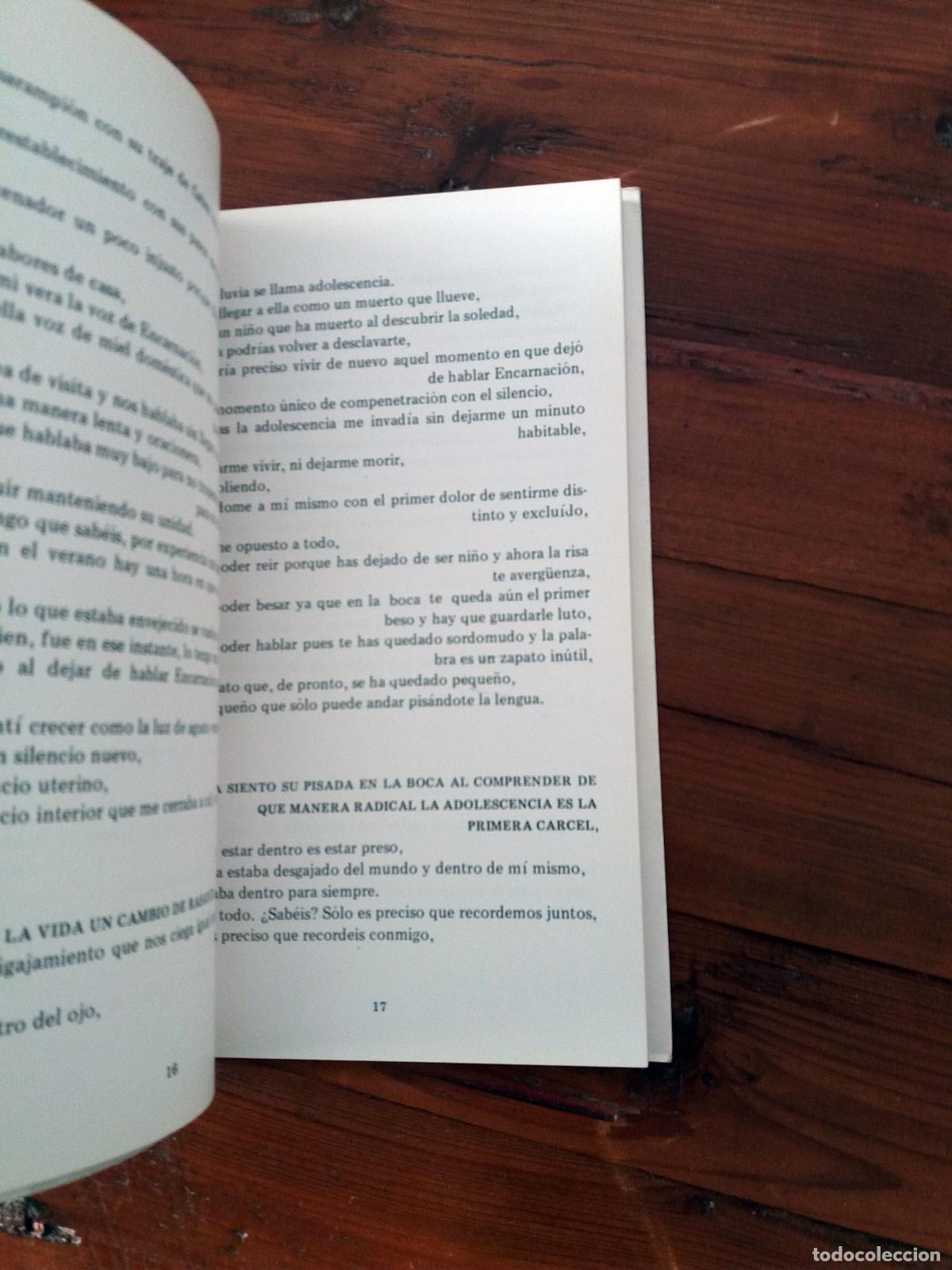 Libros: Rosales, Luis - UN ROSTRO EN CADA OLA. - Foto 3