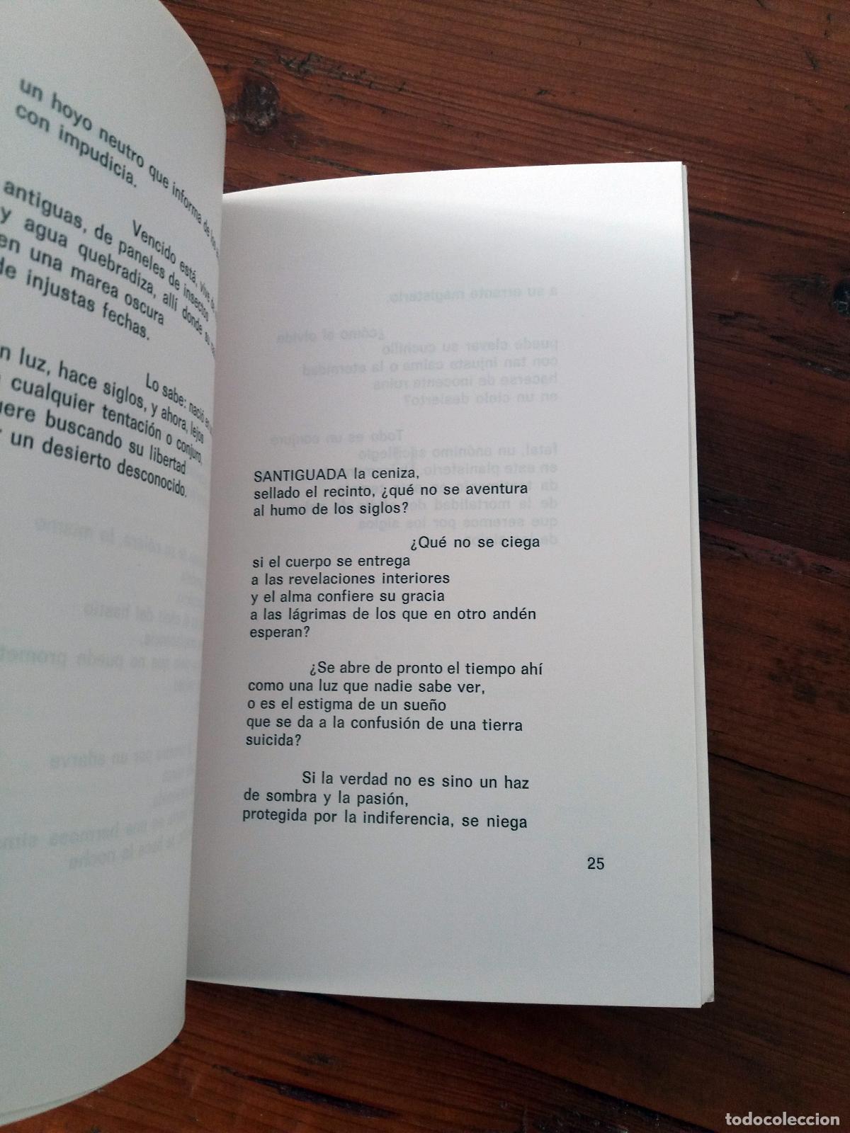 Libros: Manuel Alvarez Ortega - TEMPLO DE LA MORTALIDAD - Foto 2