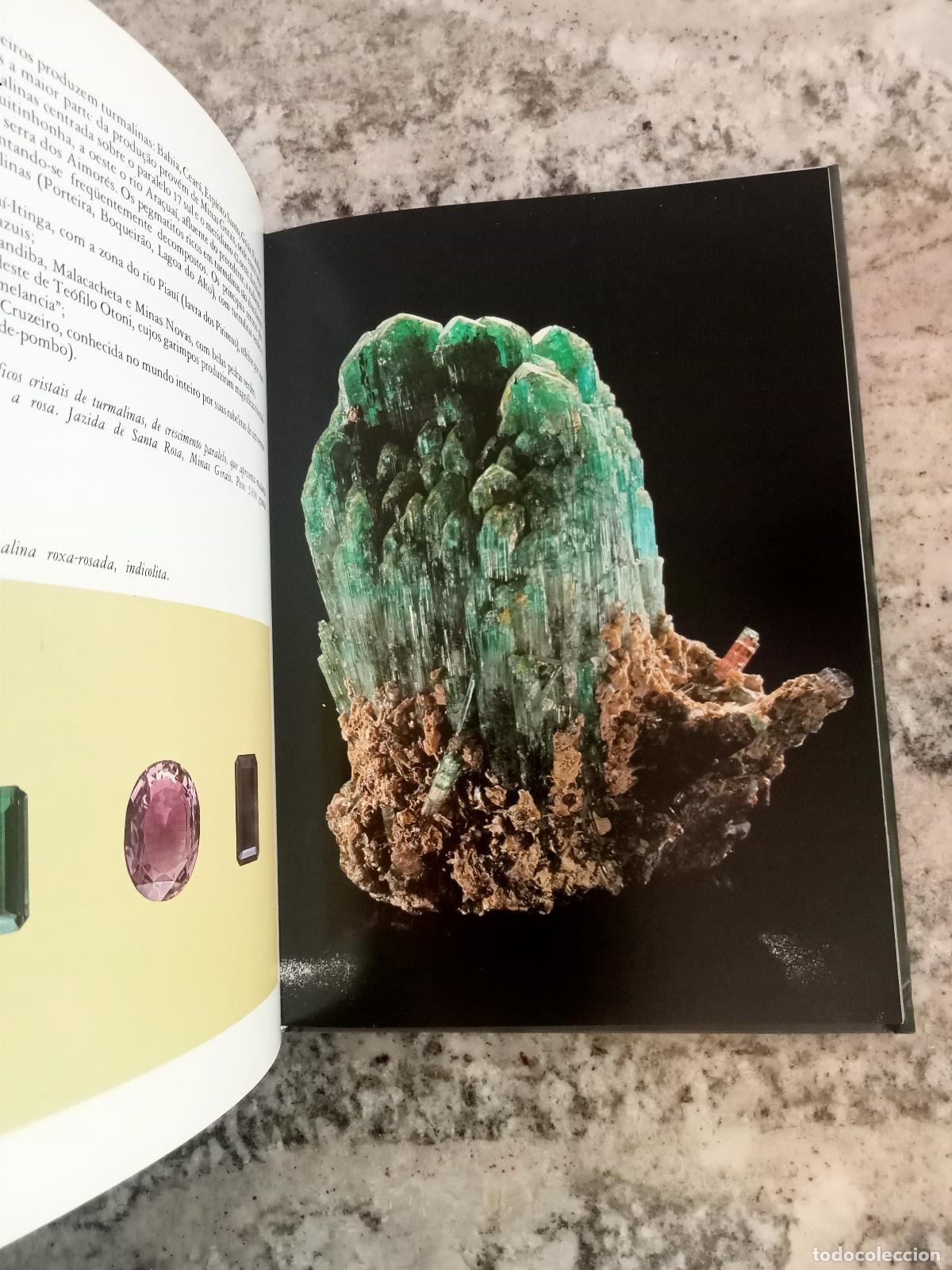 Libros: Jules Roger Sauer - BRASIL. PARA&Iacute;SO DE PEDRAS PRECIOSAS. - Foto 3