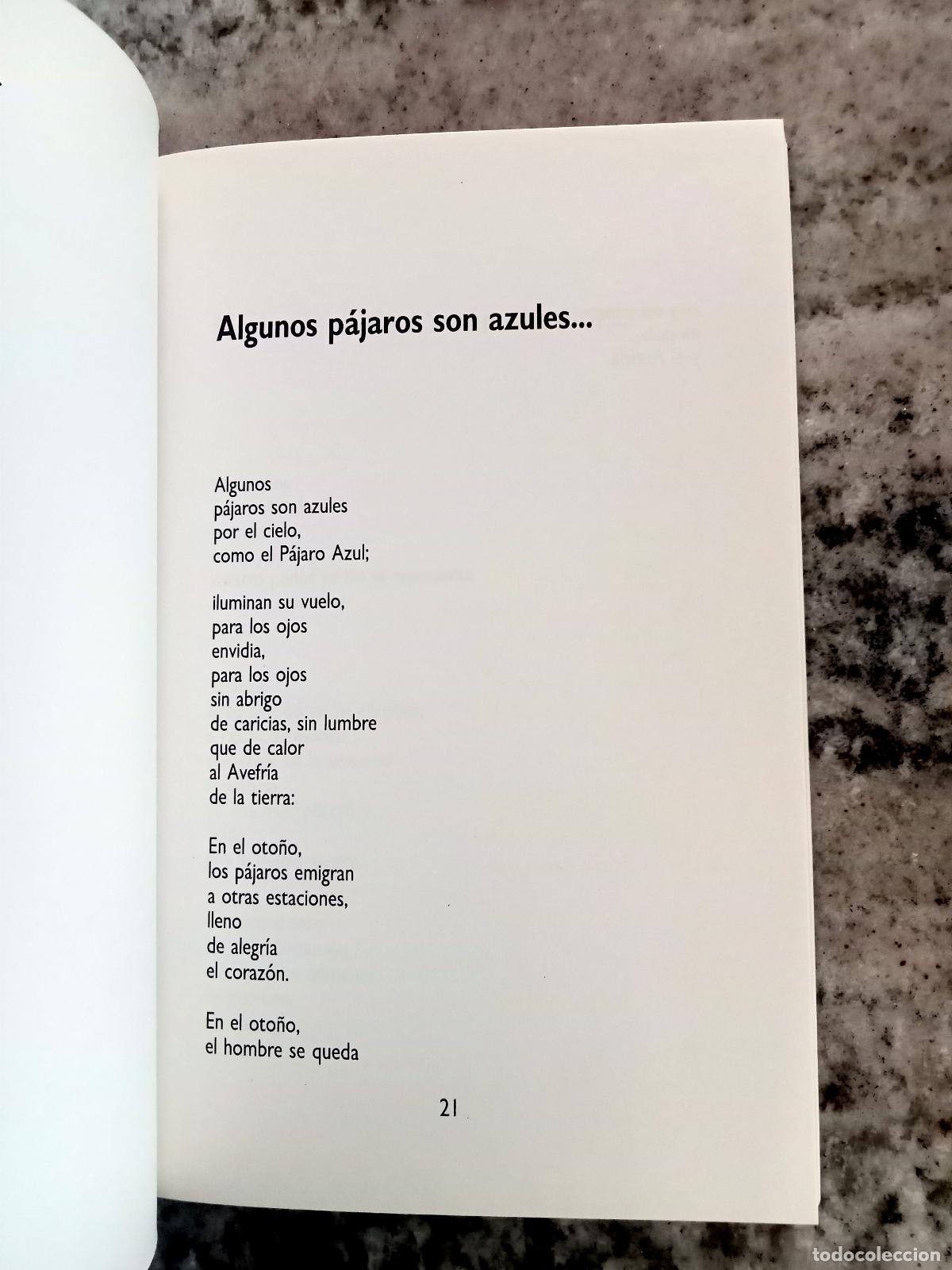 Libros: Roberto Echaz&uacute; - MORADA DEL OLVIDO - Foto 3