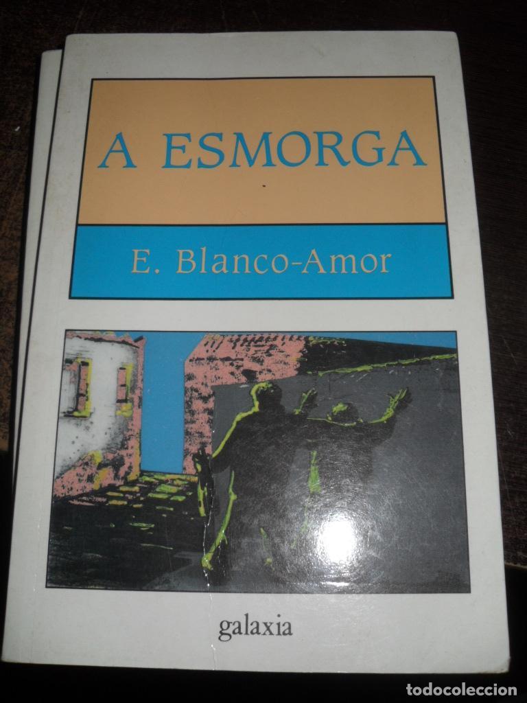 Libros: A ESMORGA - EDUARDO BLANCO AMOR - Foto 1