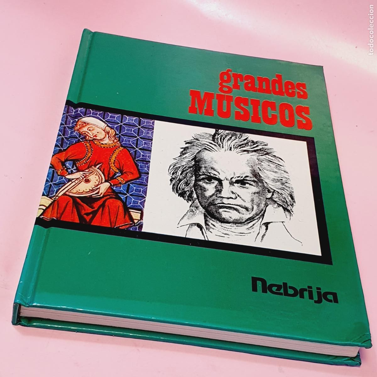 Libros: LIBRO-GRANDES M&Uacute;SICOS-NEBRIJA-EXCELENTE-VER FOTOGRAF&Iacute;AS.
