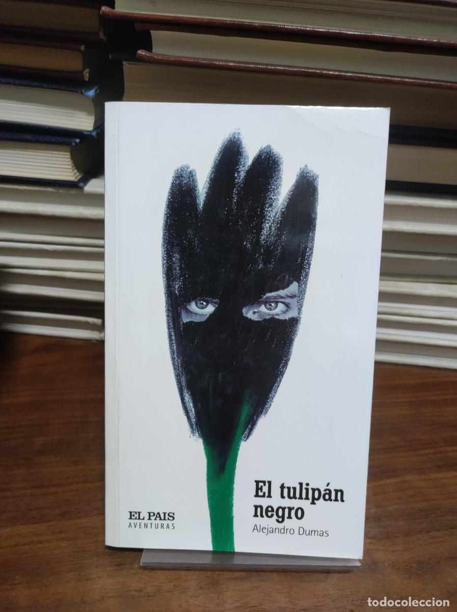 Libros: EL TULIPAN NEGRO ALEJANDRO DUMAS - Foto 1