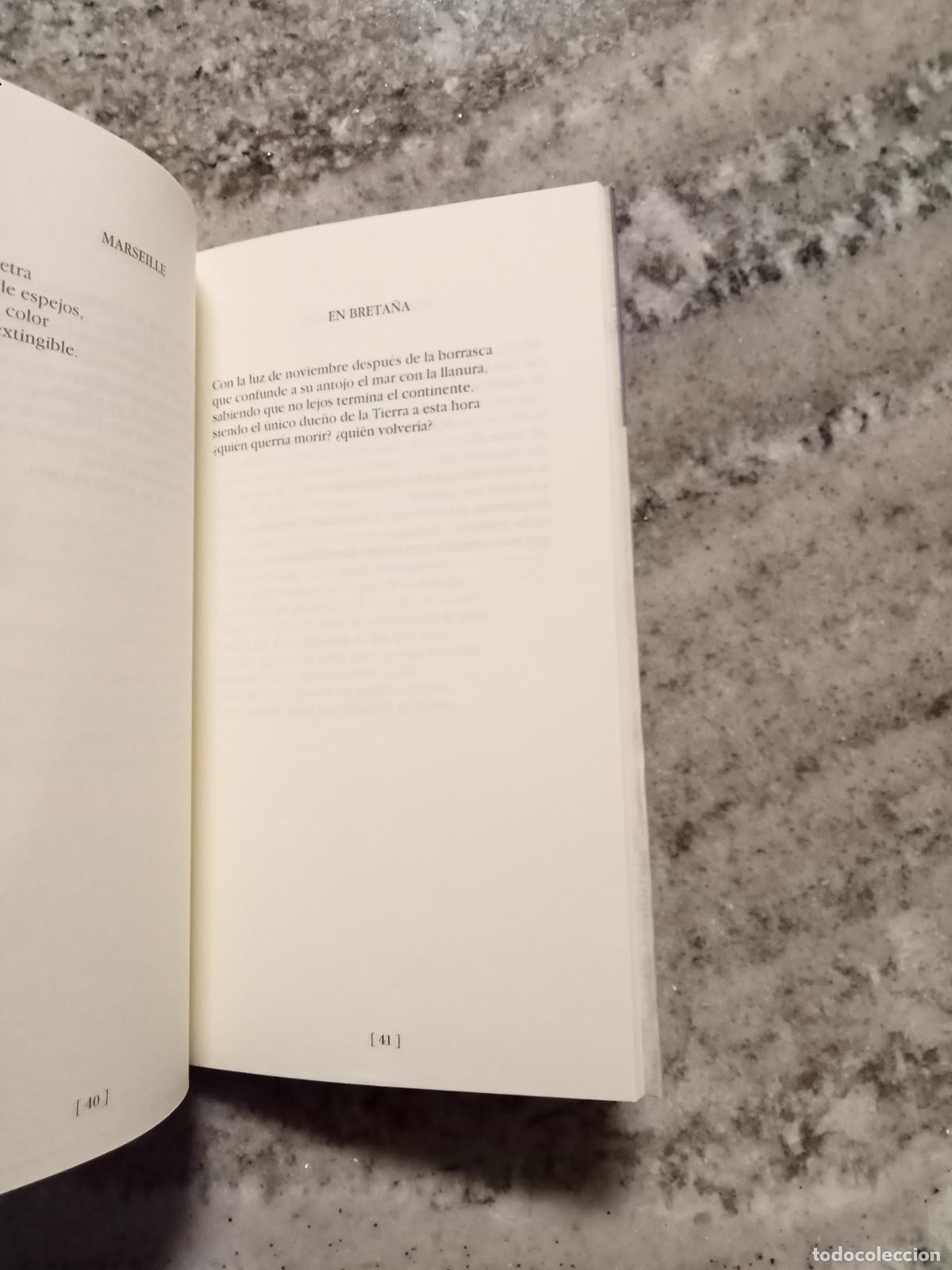 Libros: Javier Rodr&iacute;guez Marcos - NAUFRAGIOS - Foto 2