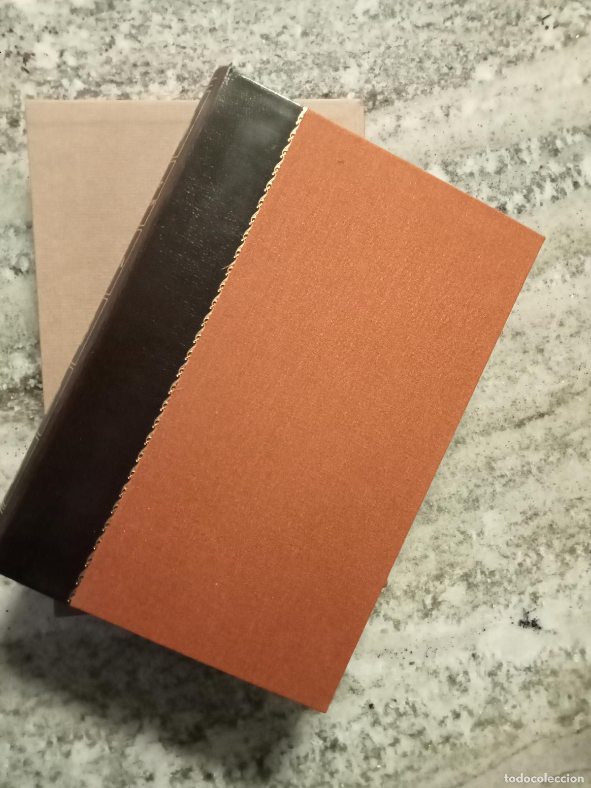Libros: Laurent Matheron - GOYA. Edici&oacute;n Castellano - Franc&eacute;s - Foto 1