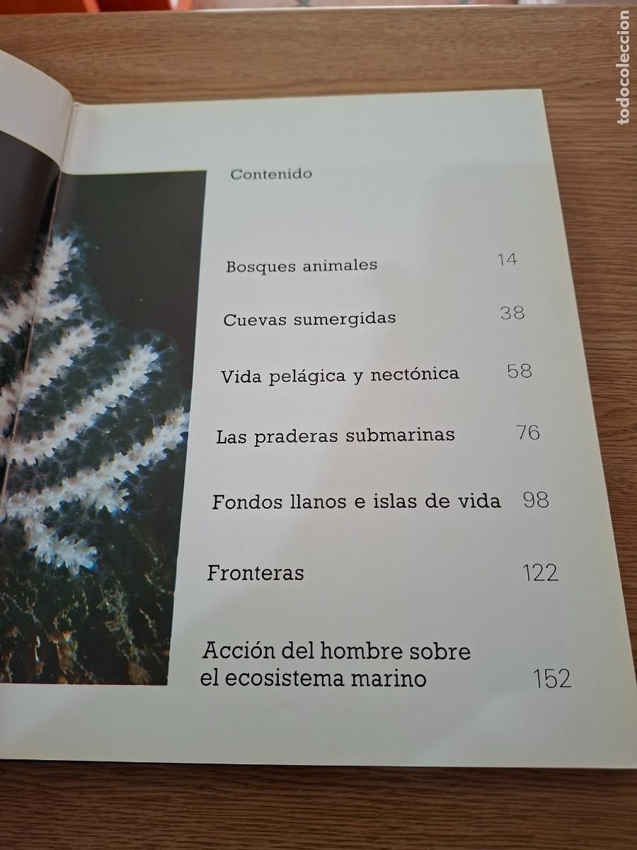 books: EL MUNDO SUBMARINO DEL MEDITERR&Aacute;NEO ESPA&Ntilde;OL - Jordi Camp