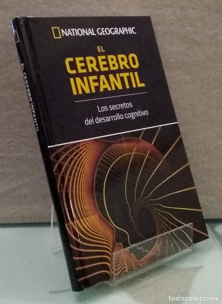 Libros: El cerebro infantil (NUEVO). Los secretos del desarrollo cognitivo - Rita Reig Viader