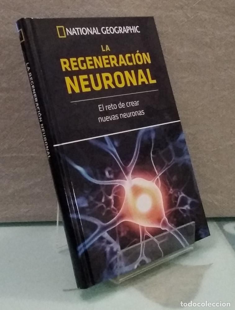 Libros: La regeneraci&oacute;n neuronal (NUEVO). El reto de crear nuevas neuronas - Juan Salvador Nacher Rosell&oacute;