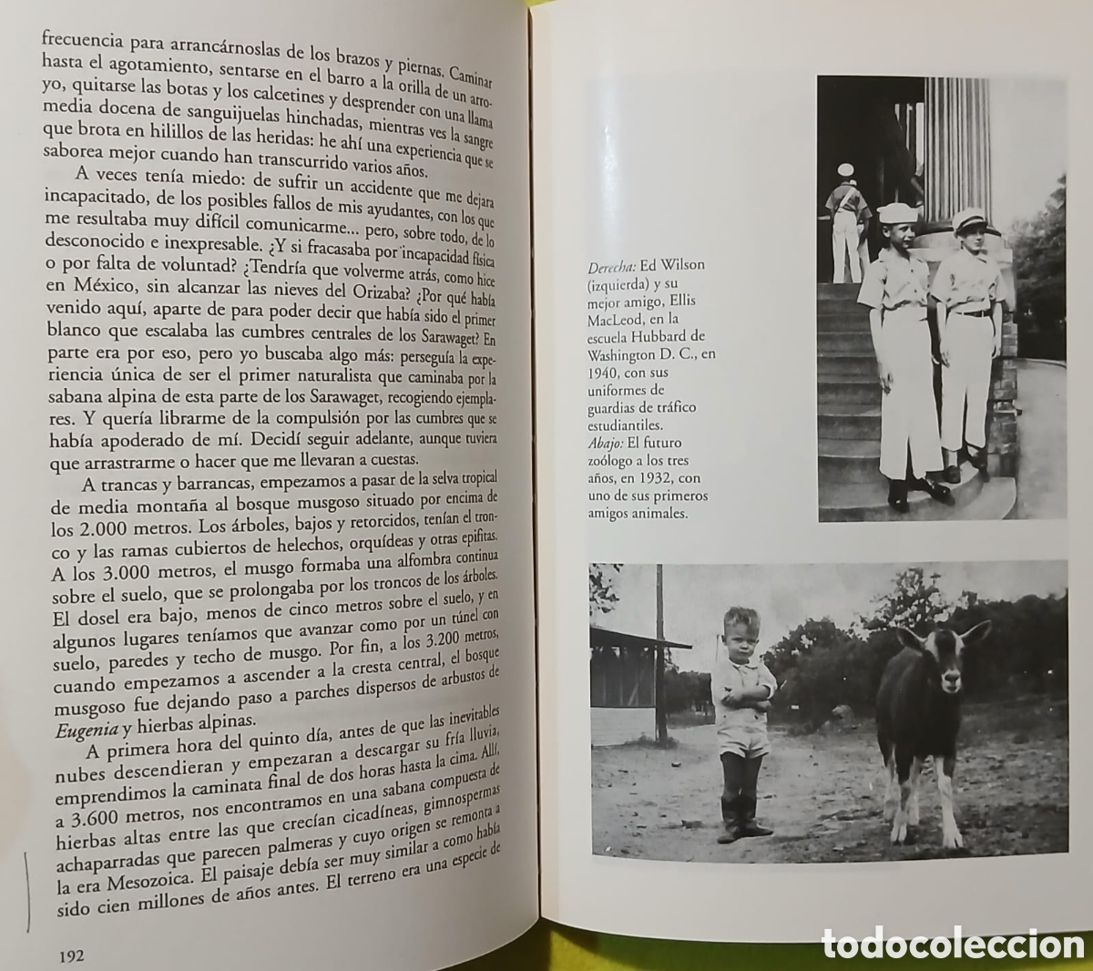 Libros: El Naturalista, Eduardo O.Wilson - Foto 7