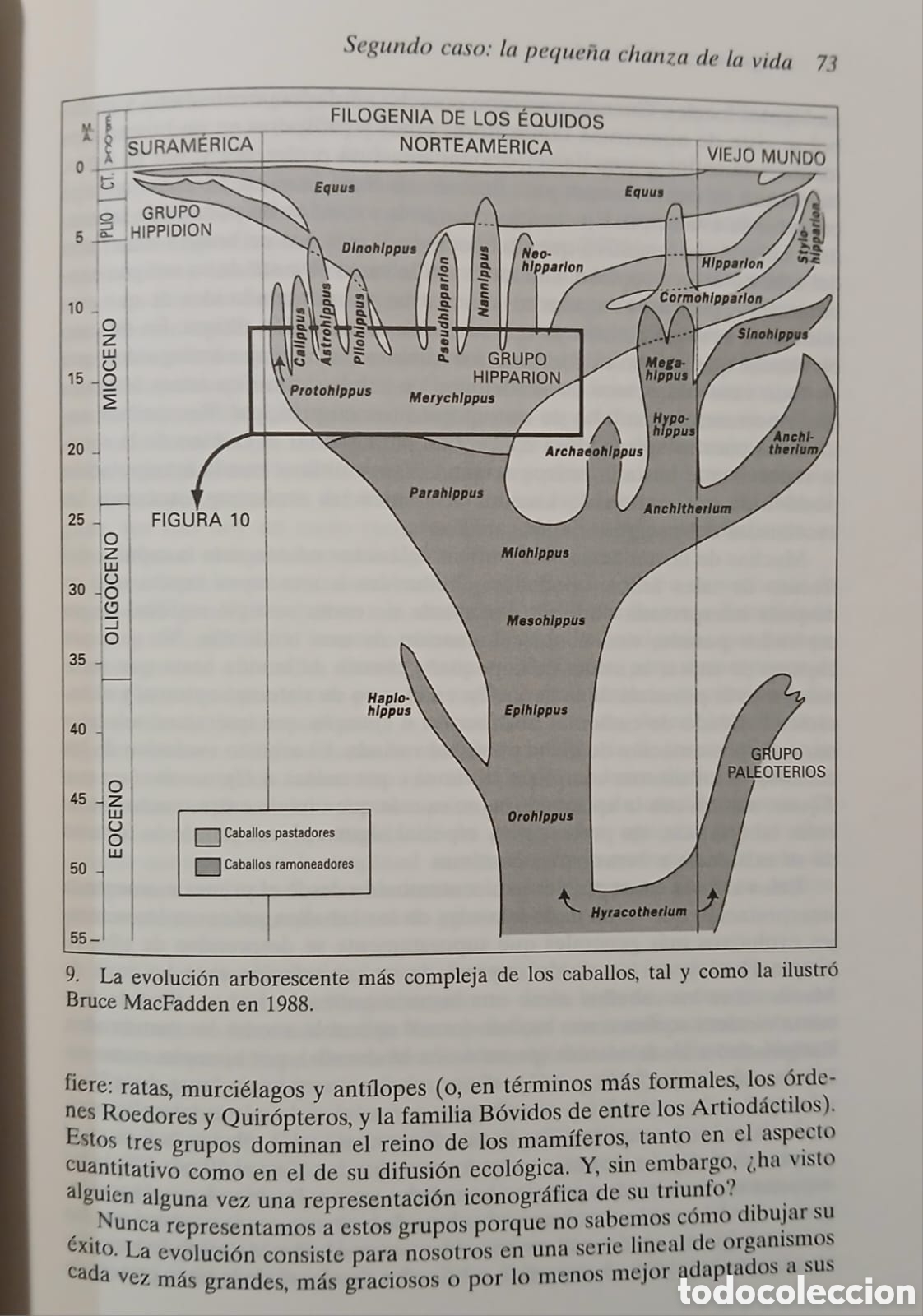Libros: La grandeza de la vida - Foto 3