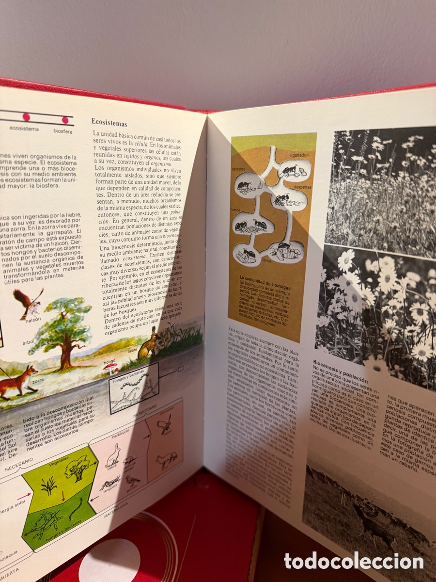 Libros: Enciclopedia COMBI visual - Foto 6