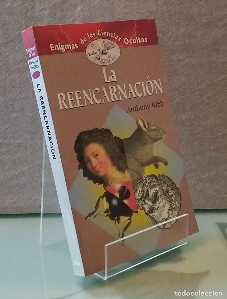 Libros: La reencarnaci&oacute;n - Anthony Ribb - Foto 1