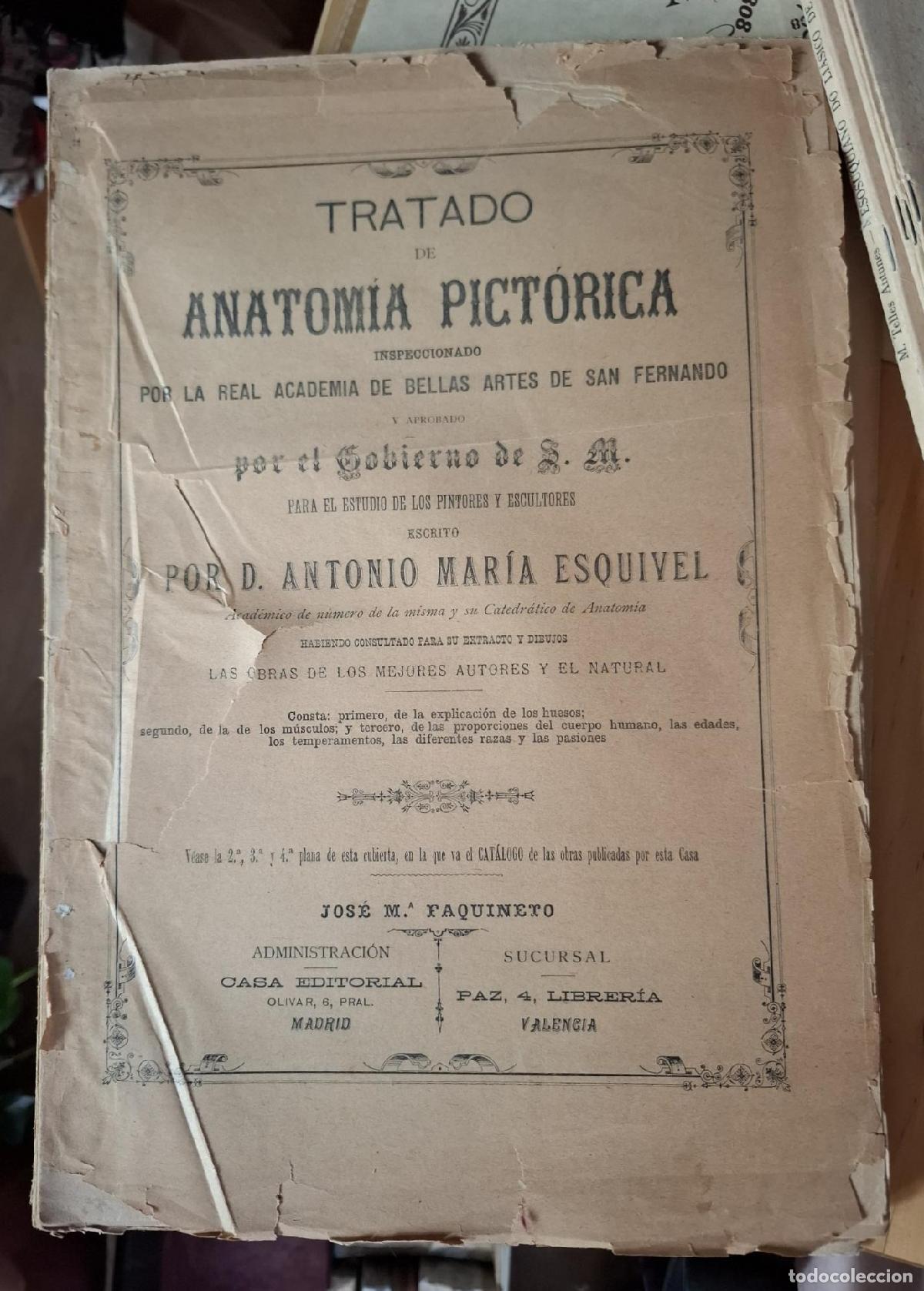 Livres: Esquivel, Antonio M&ordf; - TRATADO DE ANATOM&Iacute;A PICT&Oacute;RICA