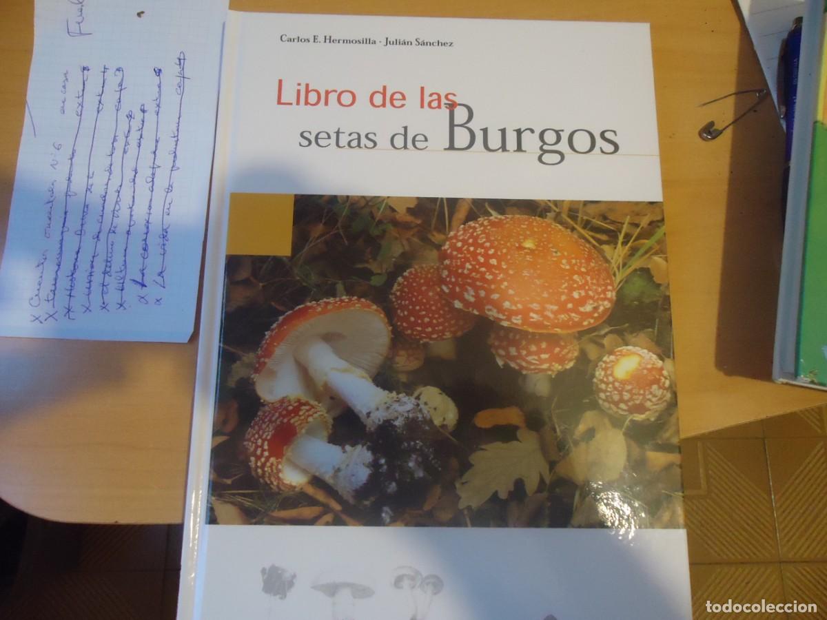 Libros: EL LIBRO DE LAS SETAS DE BURGOS - Foto 1
