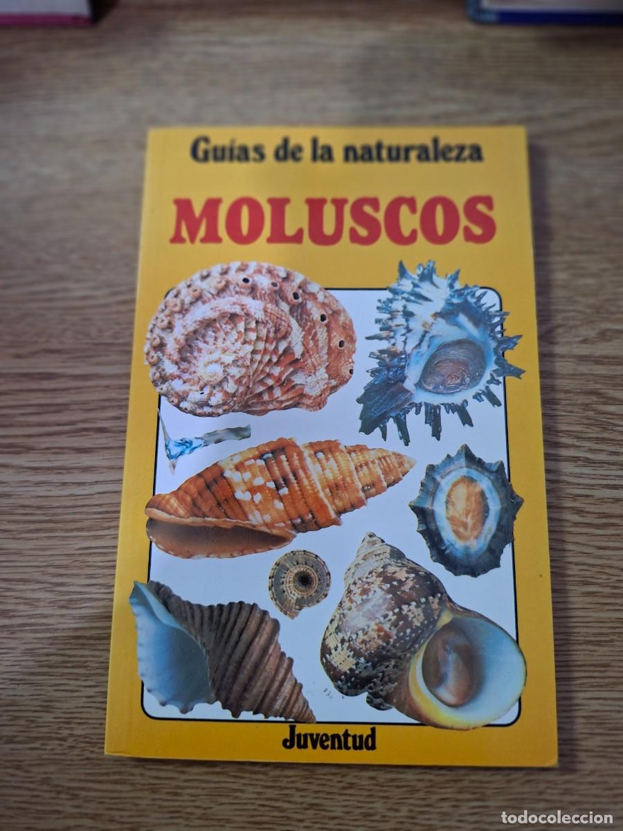 Libri di seconda mano: MOLUSCOS . GU&Iacute;AS DE LA NATURALEZA - Graham D. Saunders