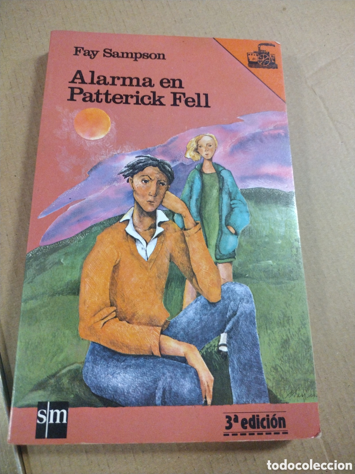 Libros: ALARMA EN PATTERICK FELL. FAY SAMPSON - Foto 1