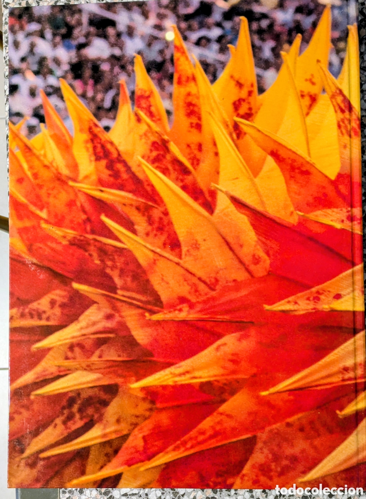 Libros: Aquell estiu del 92 a Barcelona - Foto 5