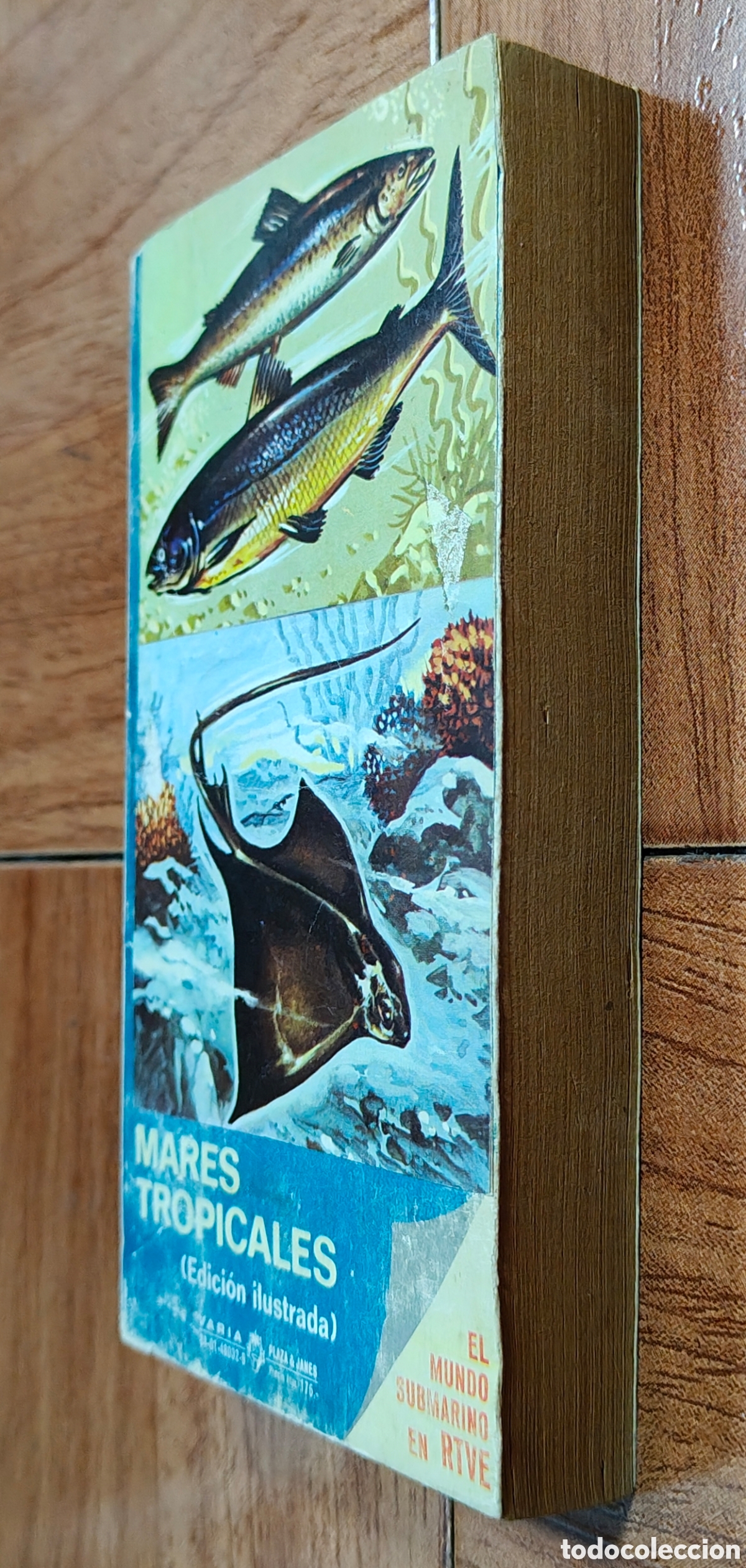 Libros: &iexcl;Fondo!: Mares Tropicales � 1&ordf; Edici&oacute;n - Eduardo Admetlla - Foto 2