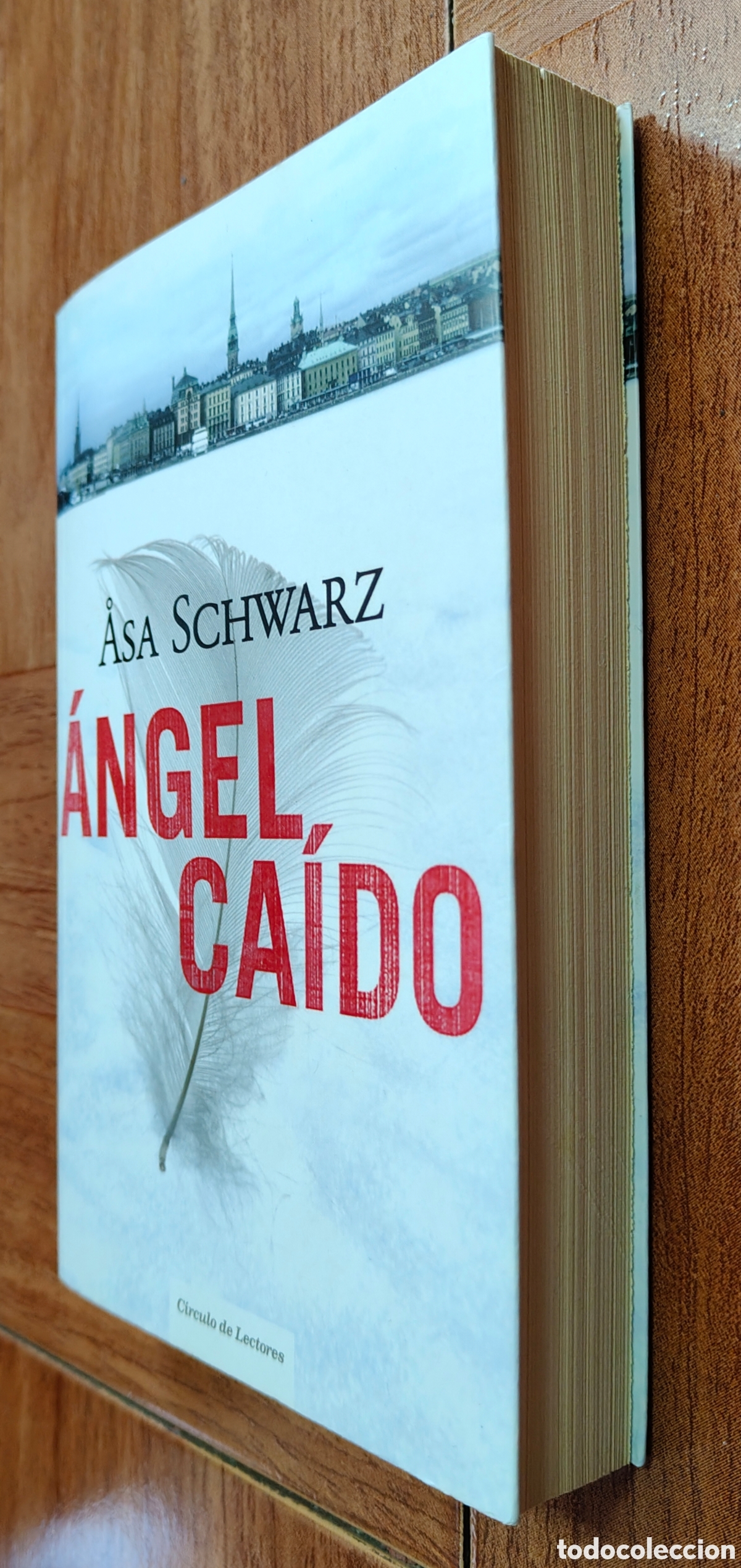 Libros: &Aacute;ngel Ca&iacute;do � C&iacute;rculo de Lectores - Asa Schwarz - Foto 2