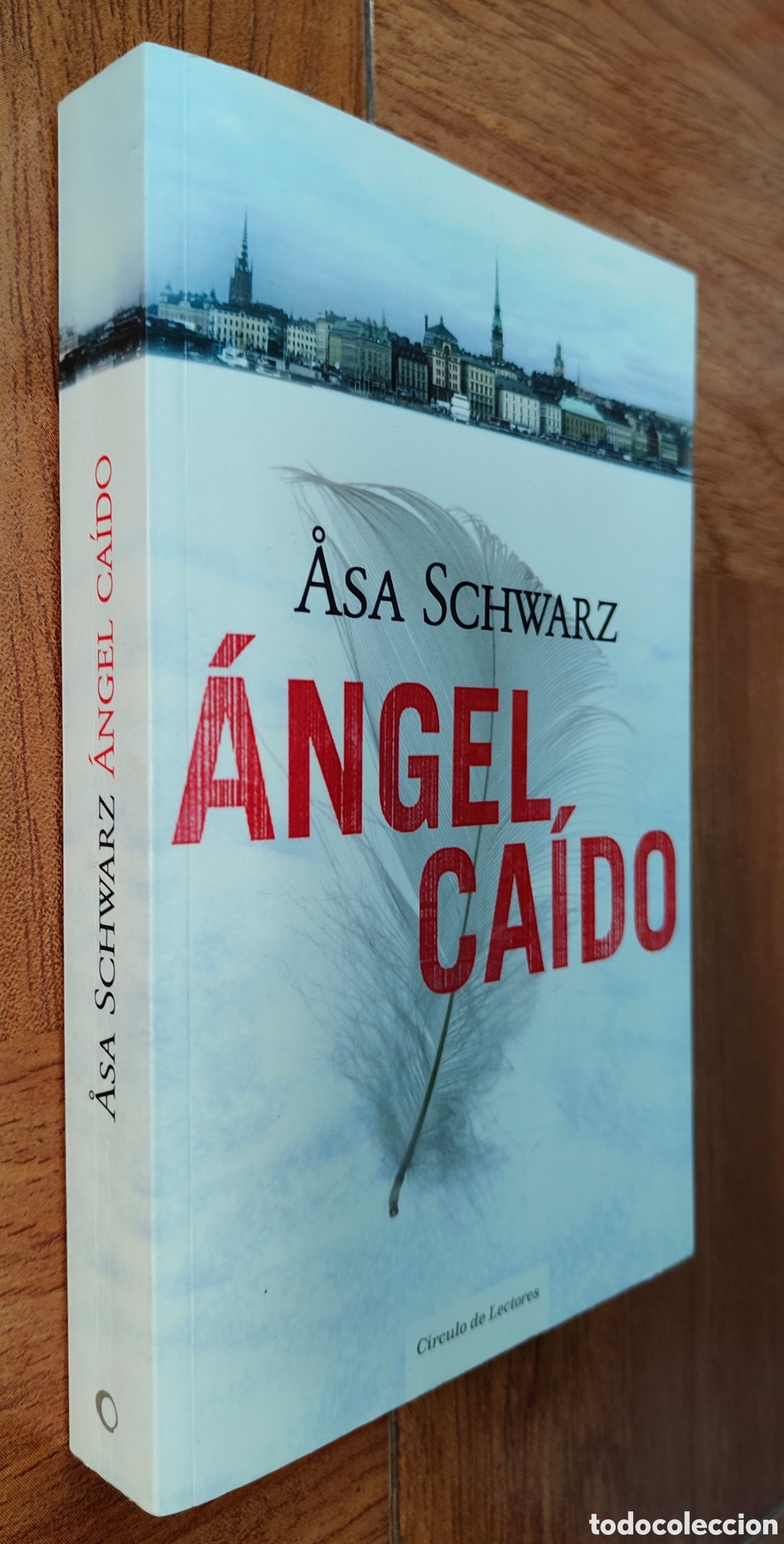 Libros: &Aacute;ngel Ca&iacute;do � C&iacute;rculo de Lectores - Asa Schwarz - Foto 1