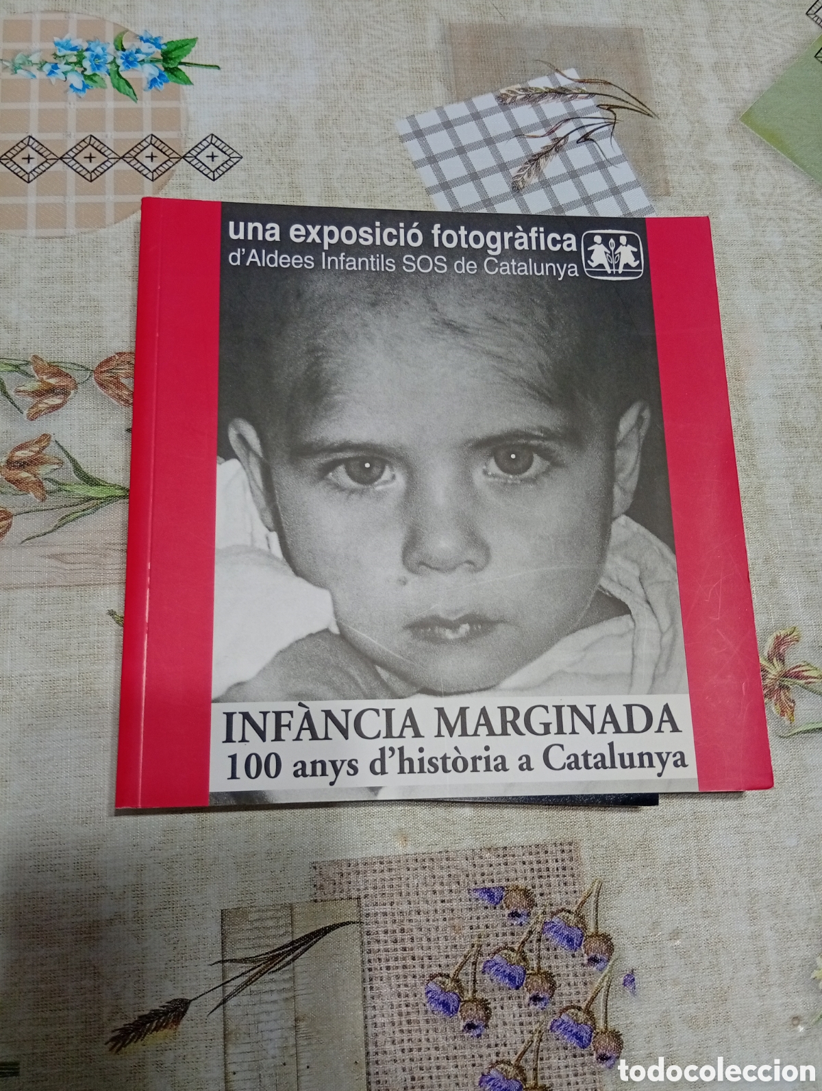 Inf&agrave;ncia marginada. 100 anys d&acute;historia a Catalunya