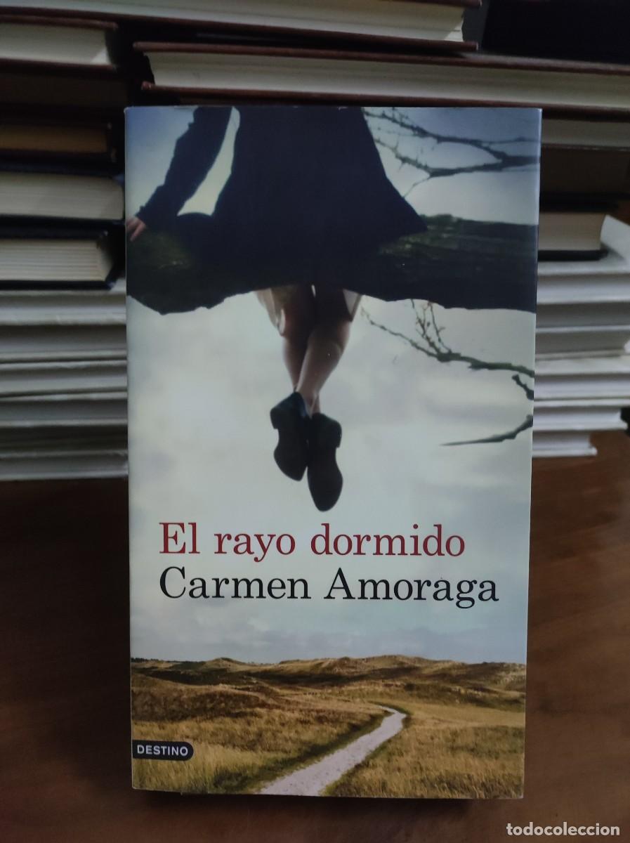Libros: EL RAYO DORMIDO CARMEN AMORAGA - Foto 1