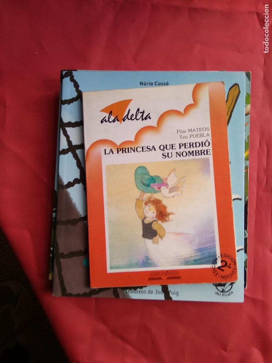 Livros em segunda m&atilde;o: La princesa que perdi&oacute; su nombre. Pilar Mateos y Teo Puebla L.809-3146