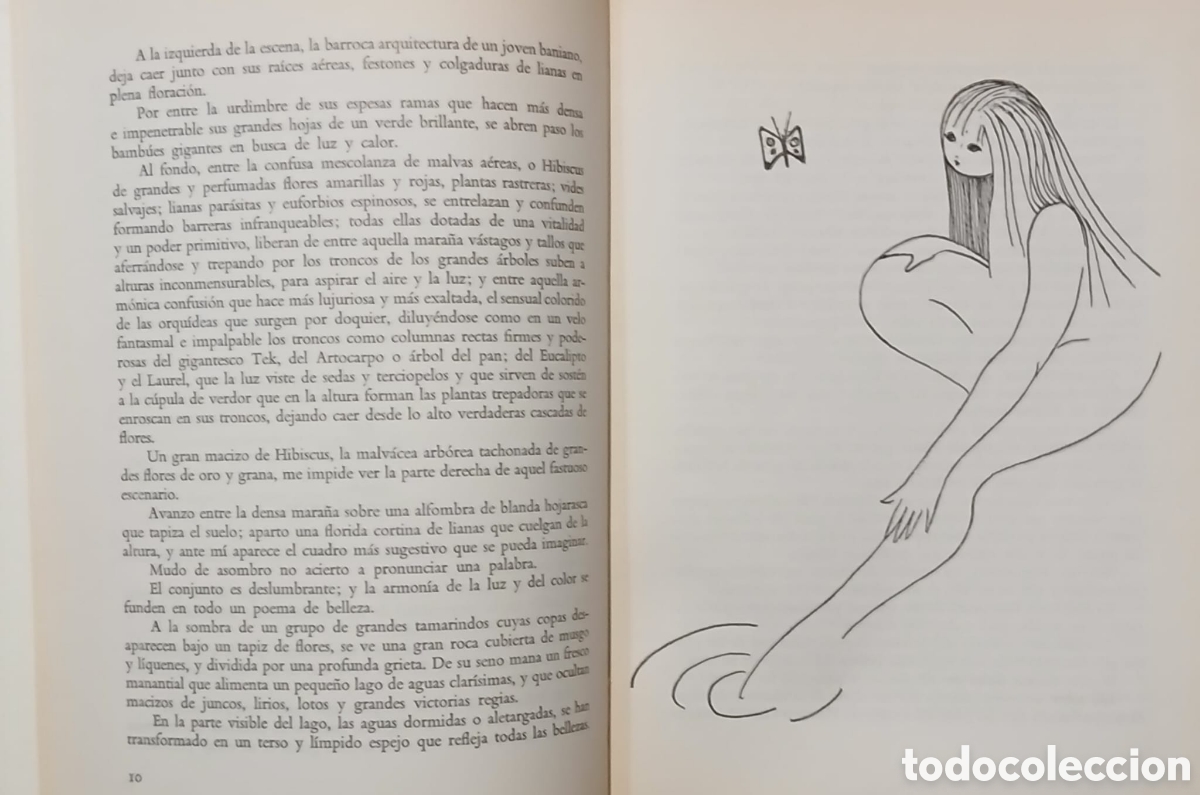 Libros: La mujer y los perfumes - Foto 5